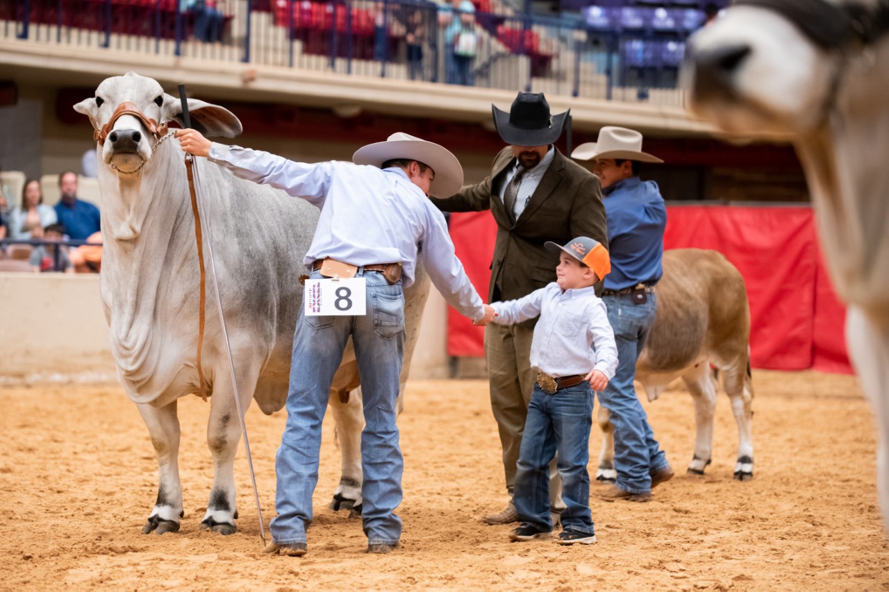 Livestock Sale Event at Dixie National Livestock Show 2025
