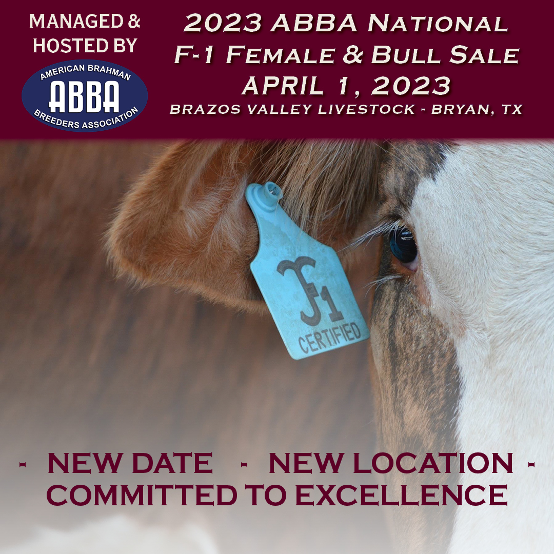 December 2021 Hereford World by American Hereford Association and